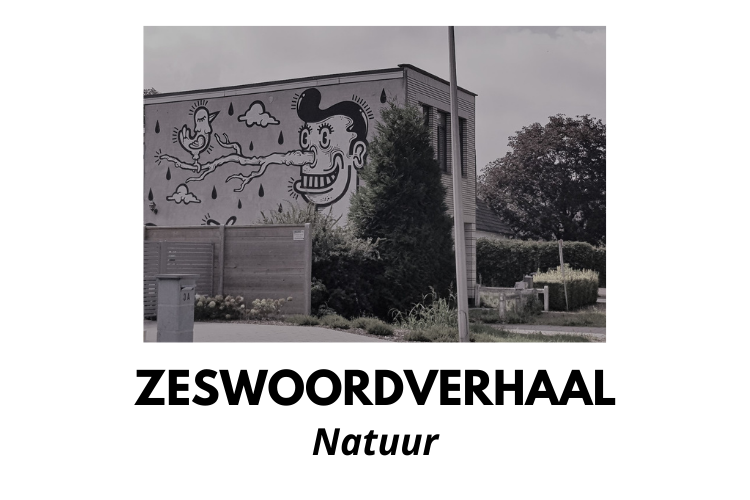 Zeswoordverhaal: natuur