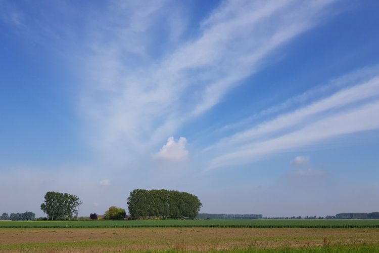 Op reis: Stekene – Gent