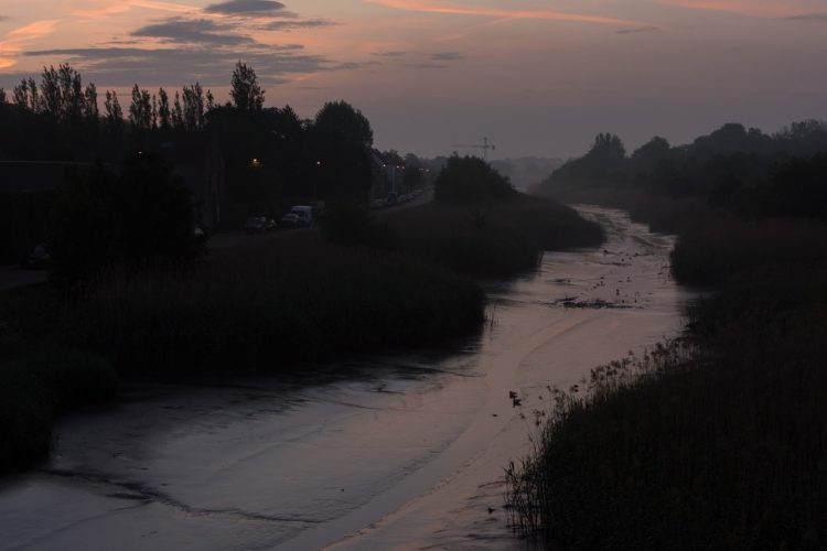 Week in beeld – week 22