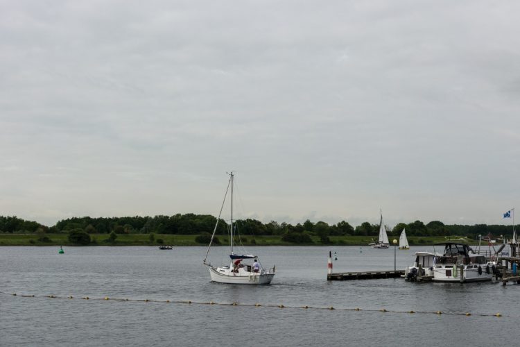 Week in beeld – week 24