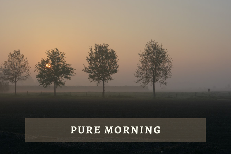 Pure Morning #wedraaiendoor
