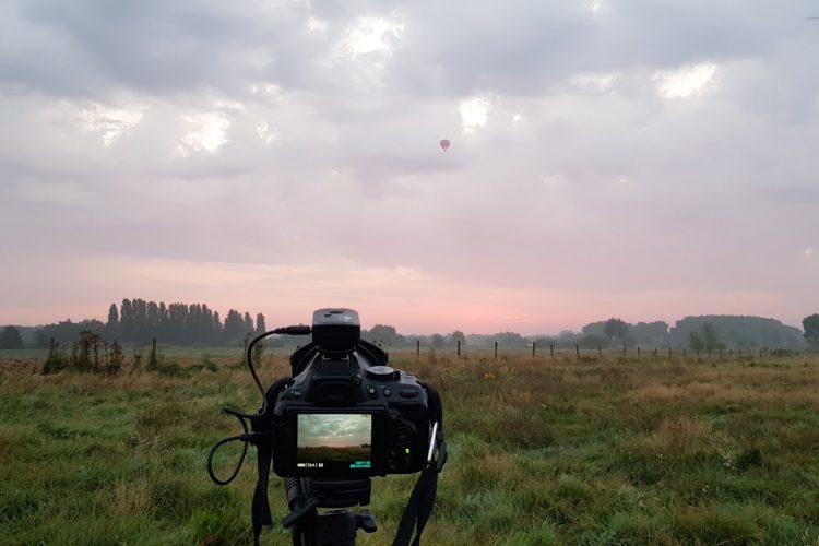 Week in beeld – week 36