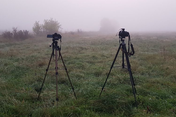 Week in beeld – week 40