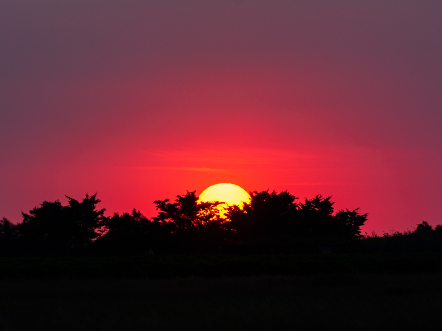 Een jaar in fotografie