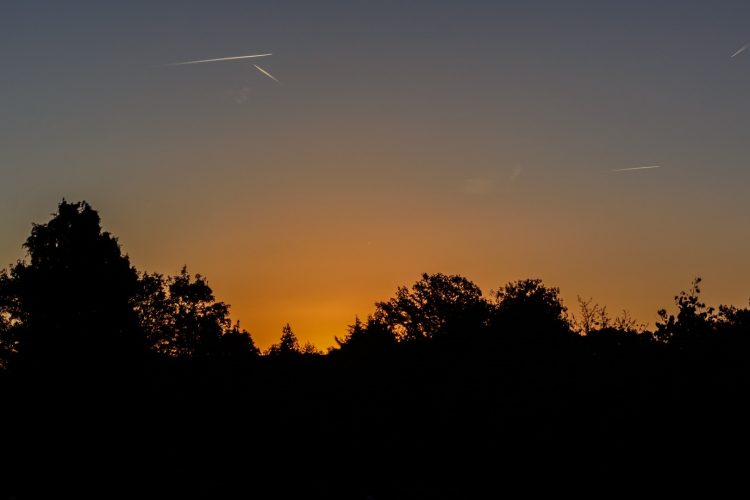 Week in beeld – week 42