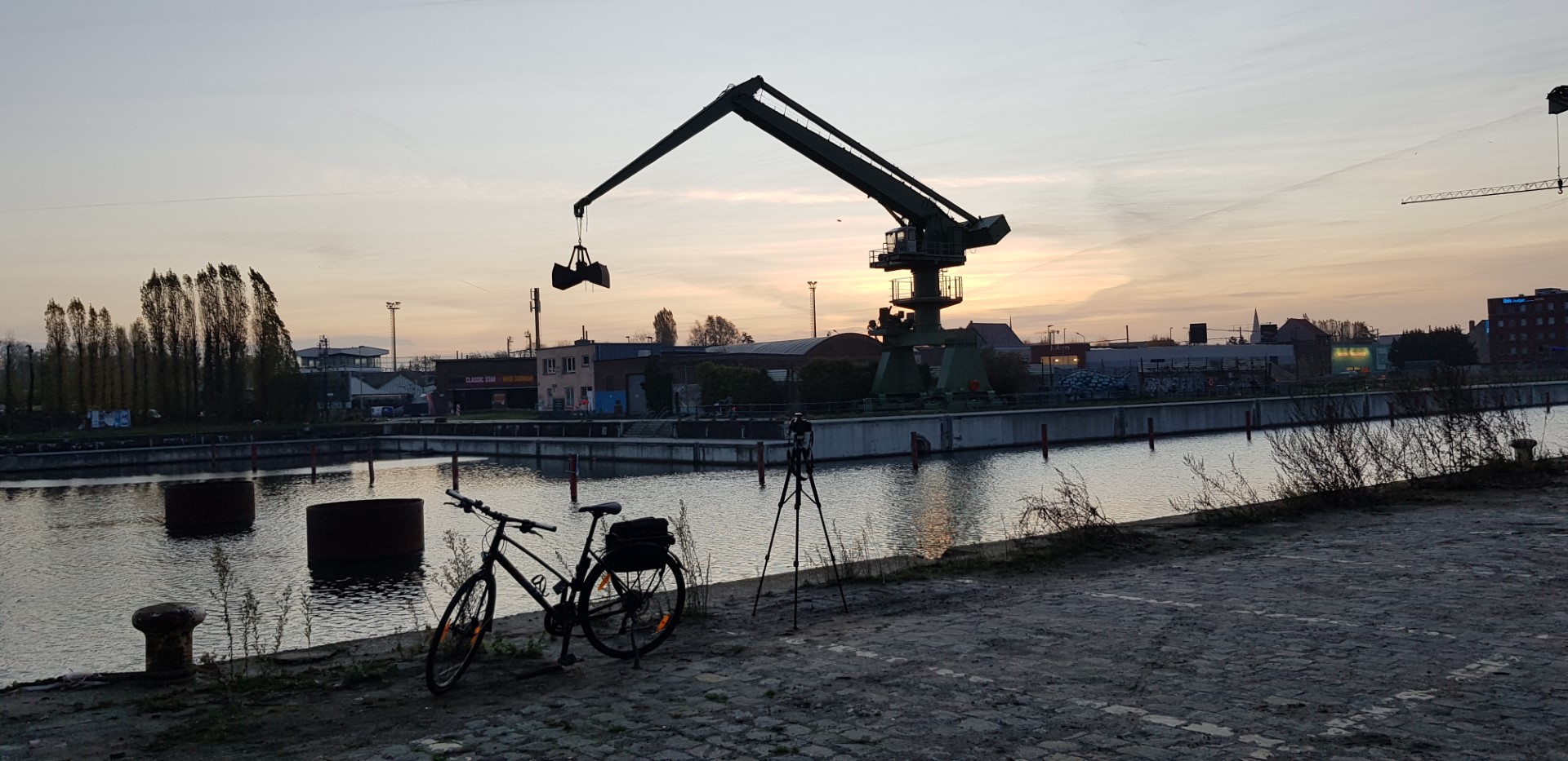 Week in beeld – week 46