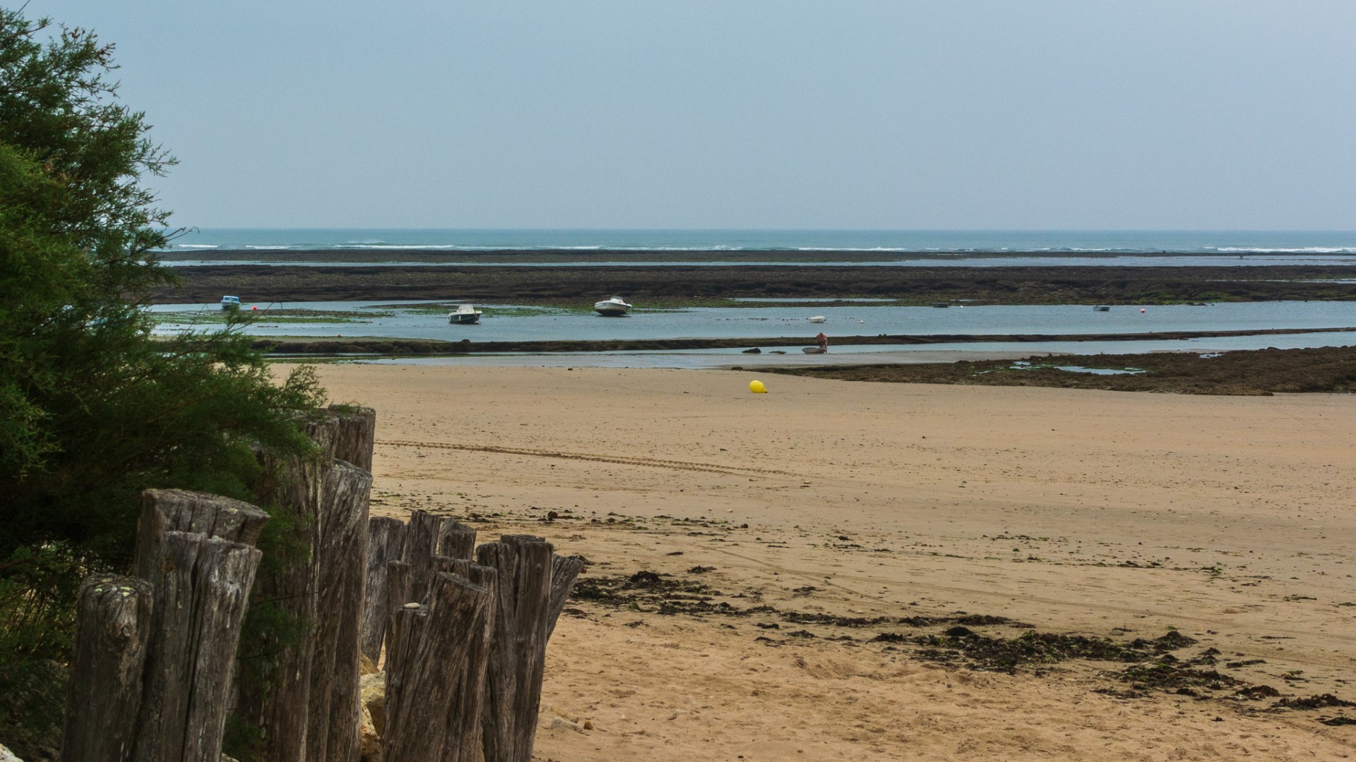 Terug op de fiets op ÃŽle d’Oléron