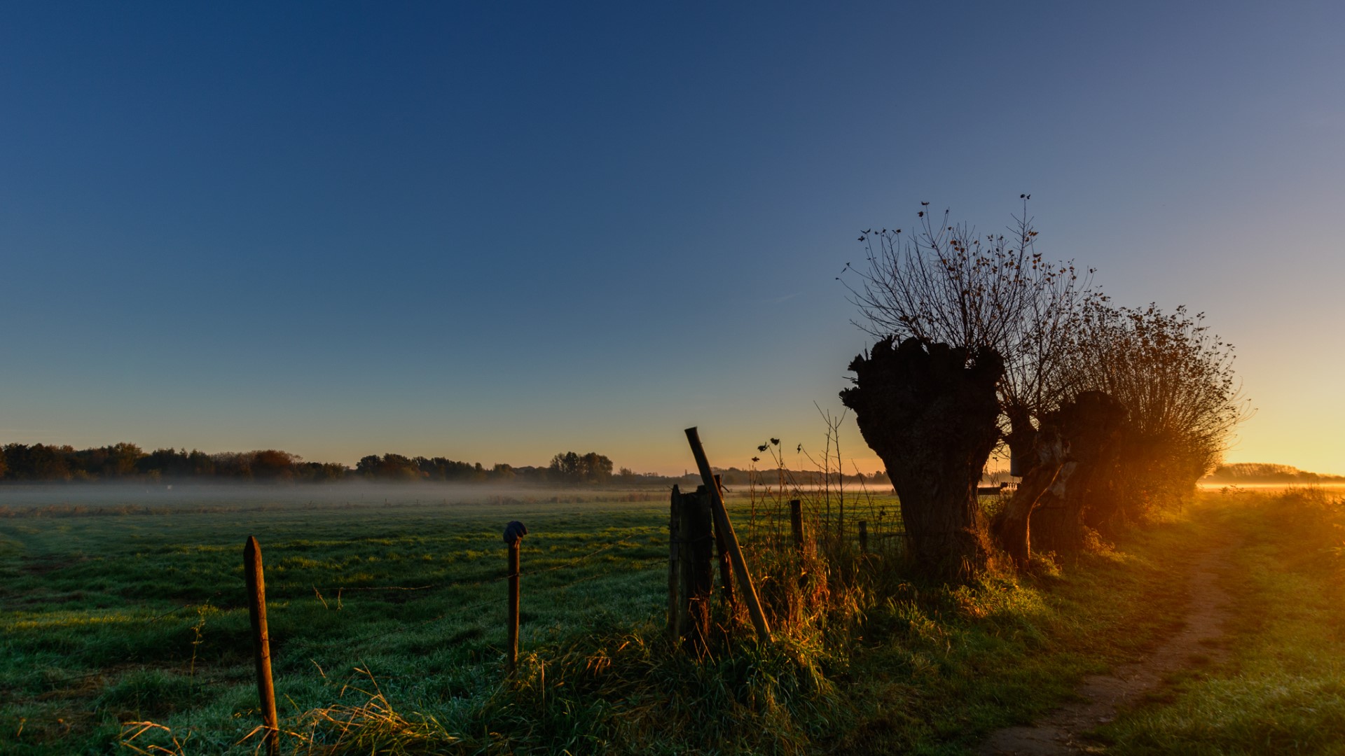 Week in beeld – week 44