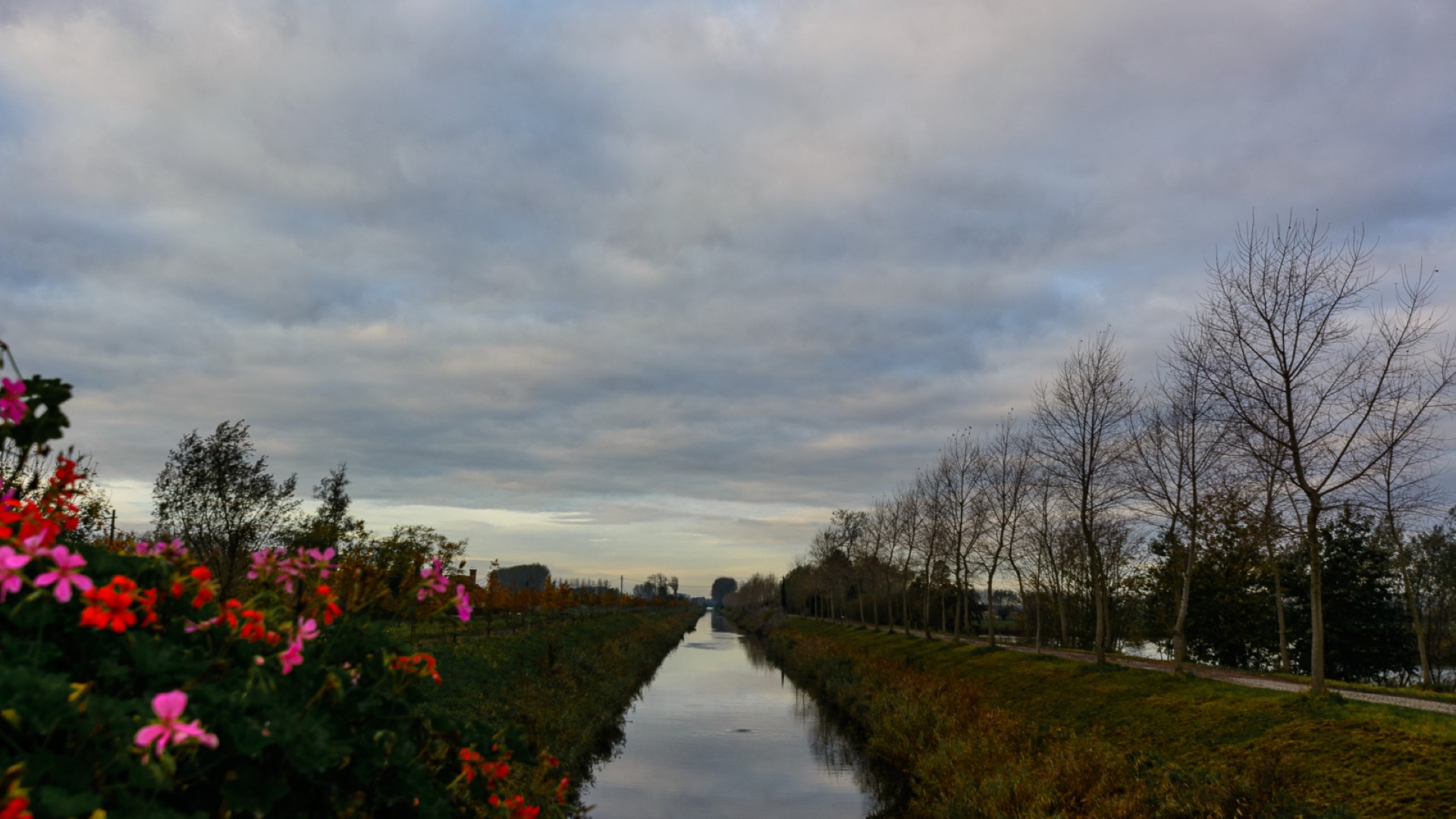 Week in beeld – week 45