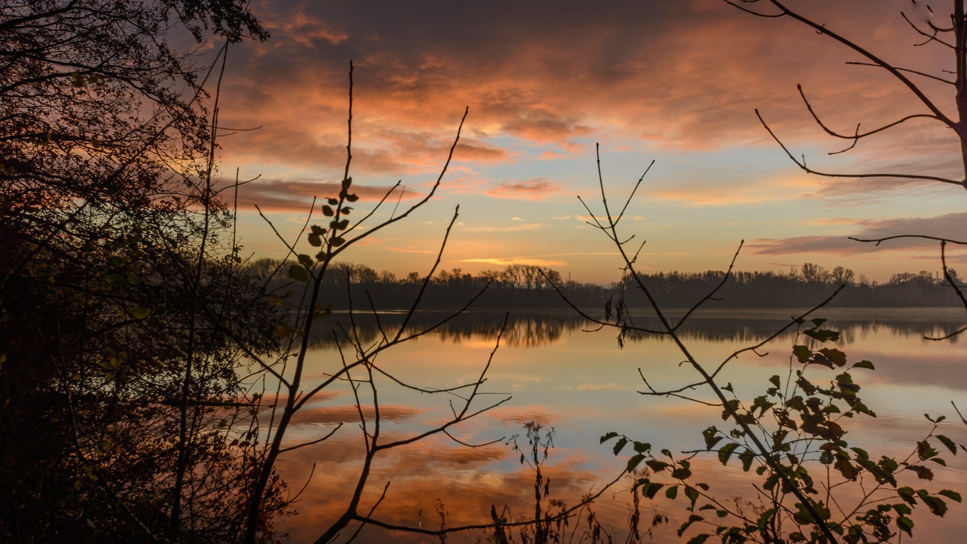 Week in beeld – week 48