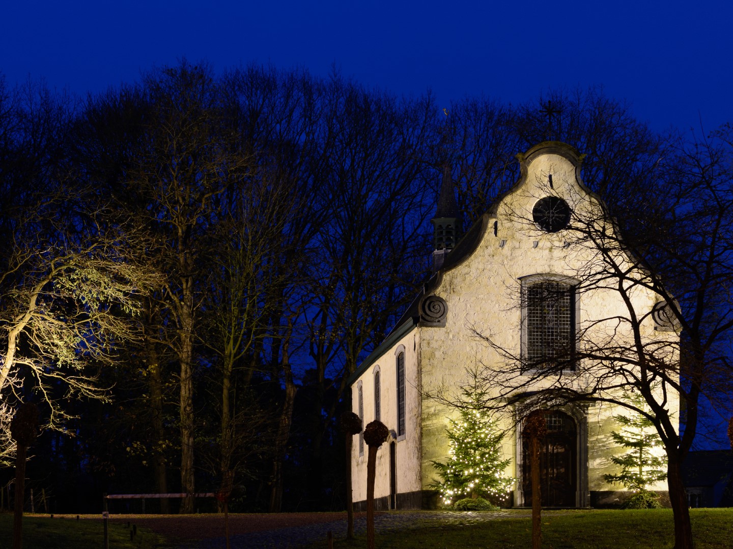 Week in beeld – week 50