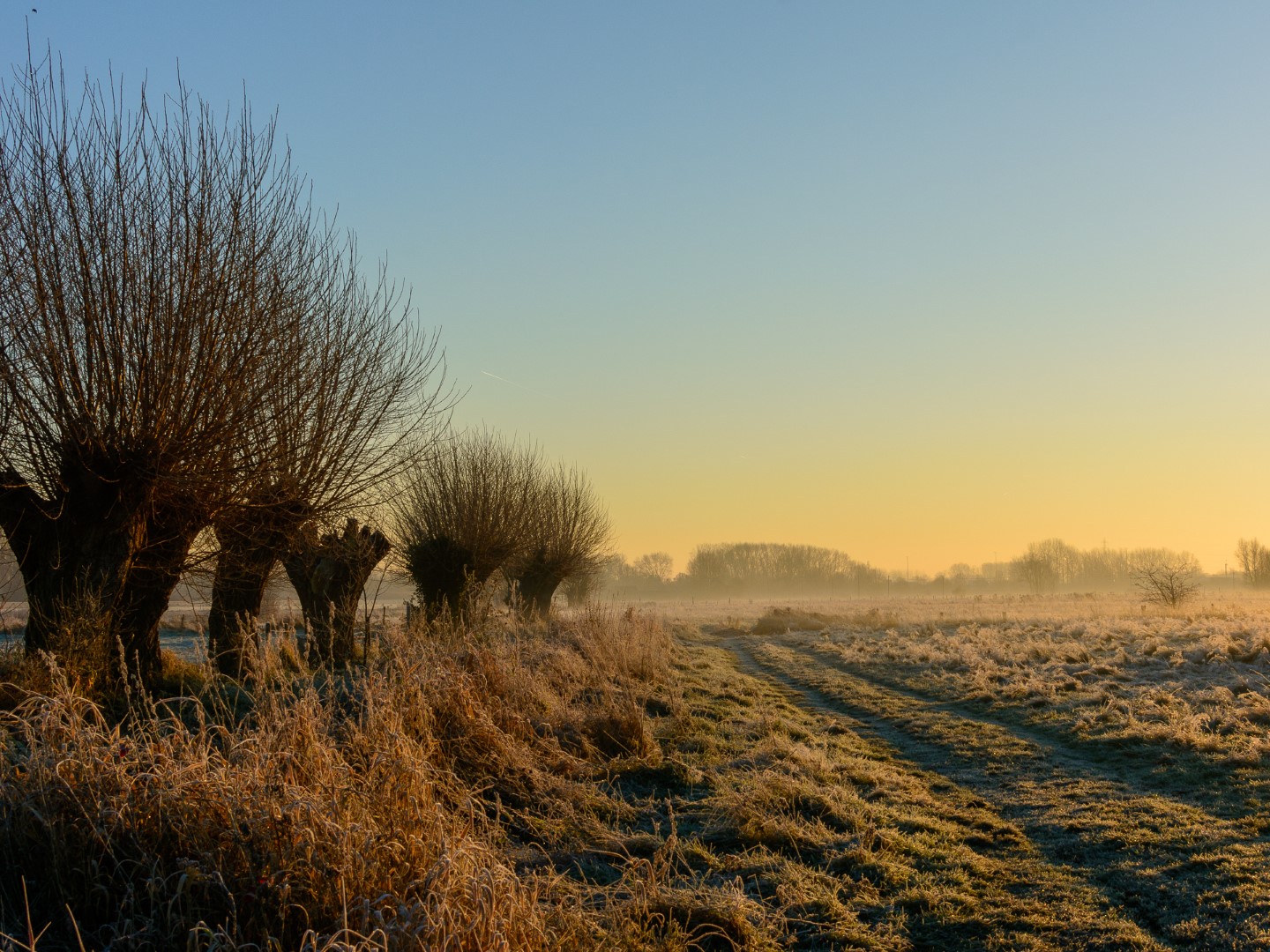 Week in beeld – week 51