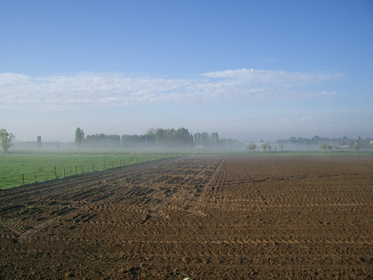 Fietstochtje langs de Schelde