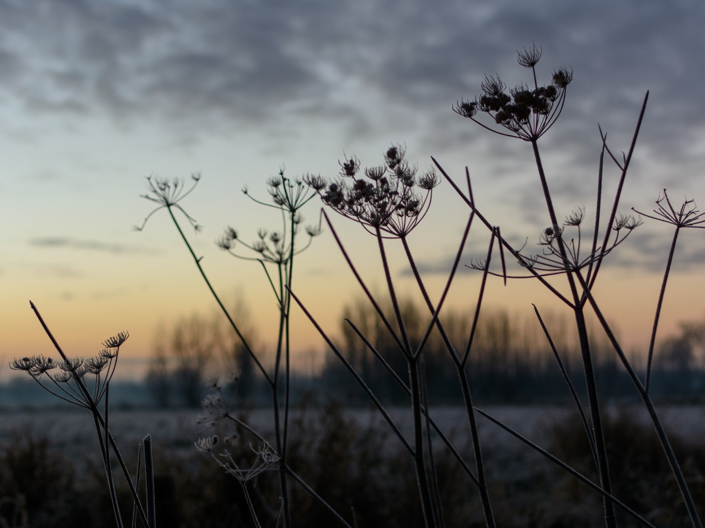 Week in beeld – week 2