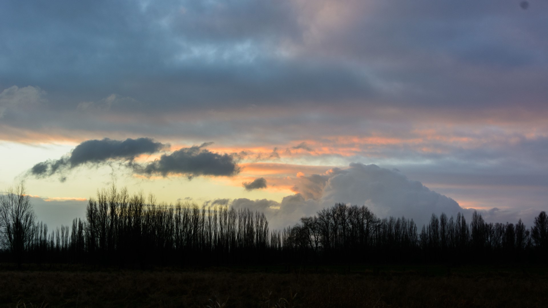 Week in beeld – week 3