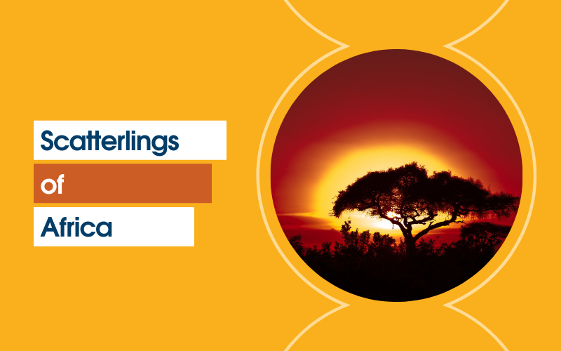 Scatterlings of Africa #wedraaiendoor