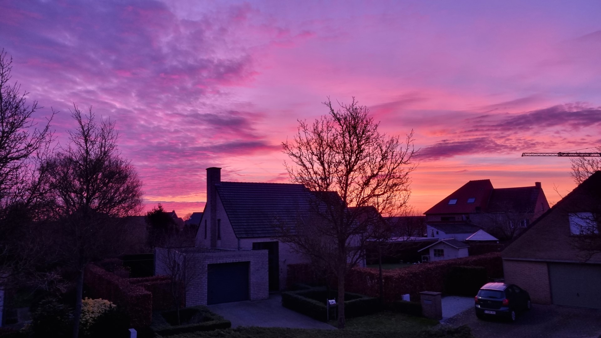 Week in beeld – week 7