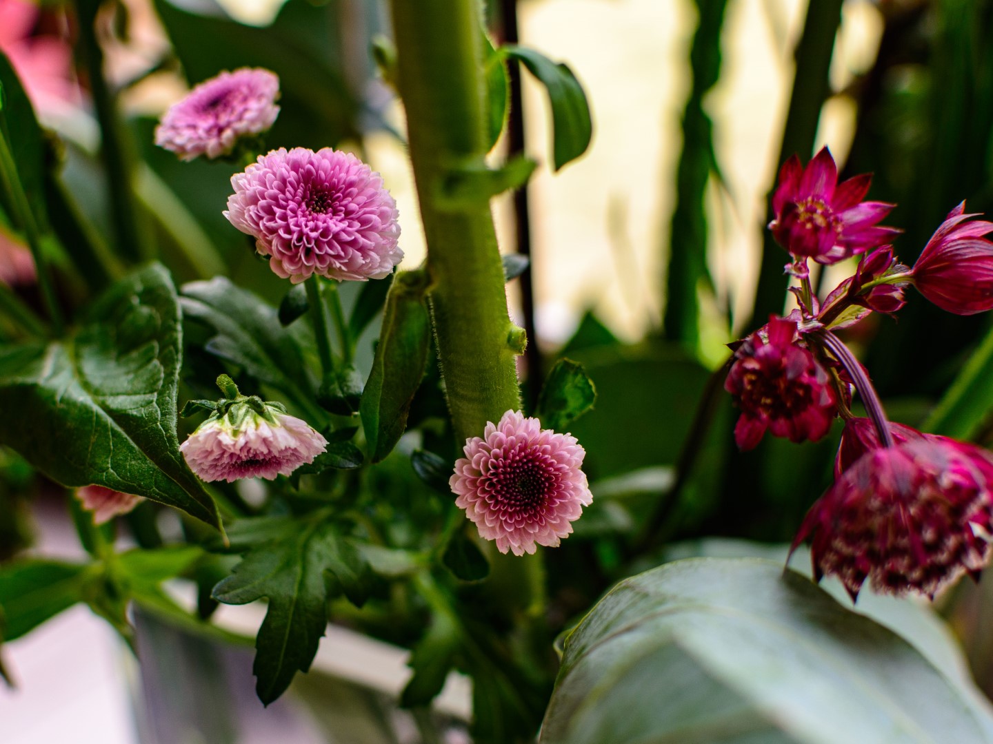 Week in beeld – week 8