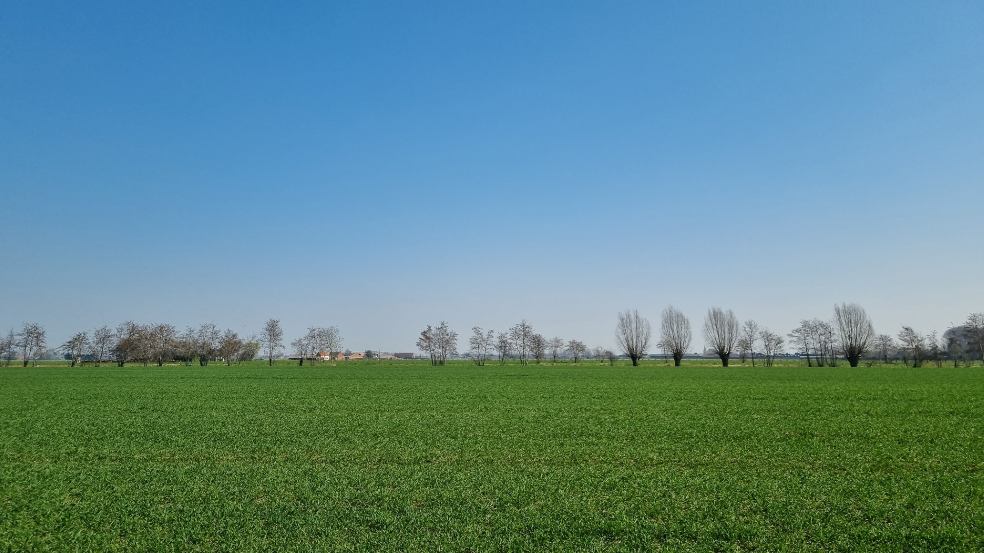 Week in beeld – week 13