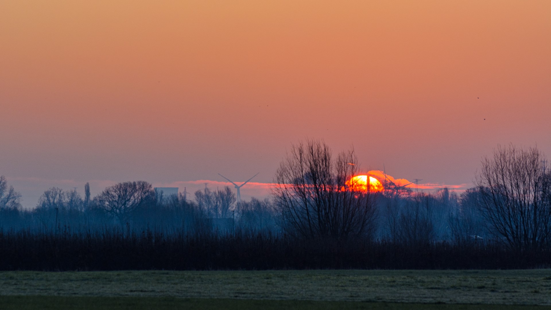 Week in beeld – week 9