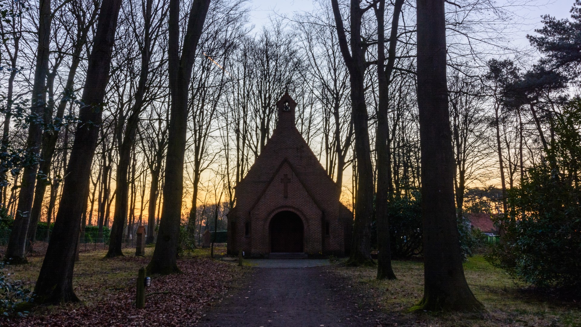 Week in beeld – week 10