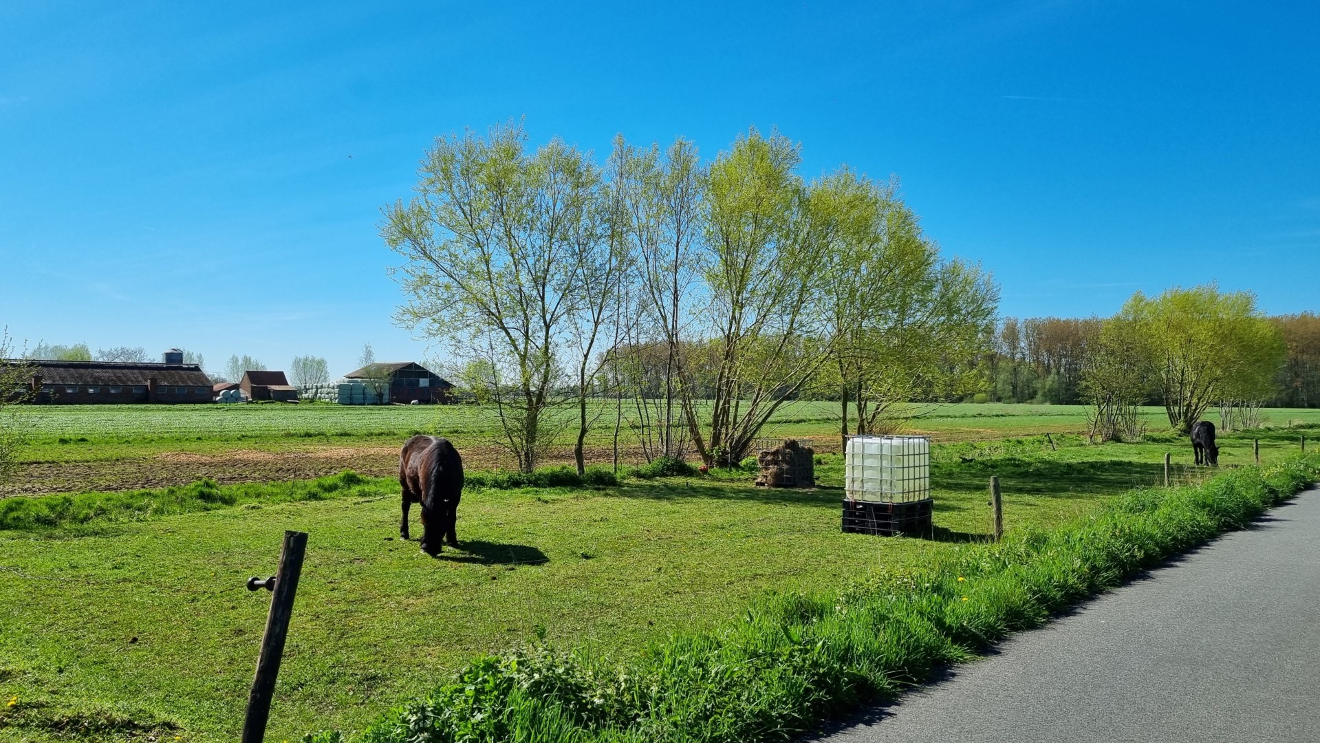 Week in beeld – week 16