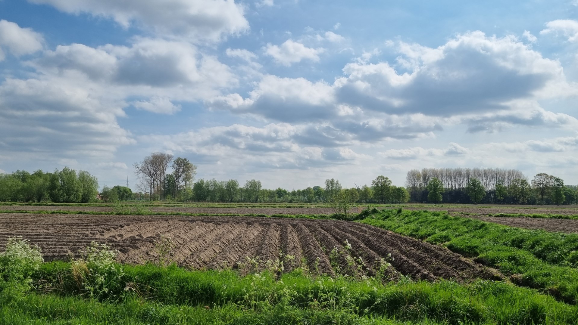 Week in beeld – week 17