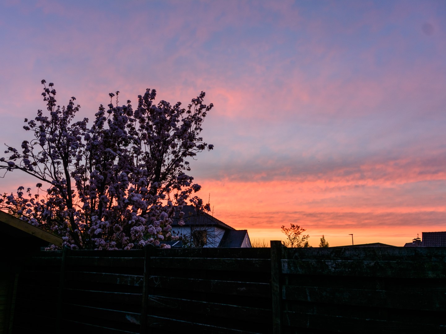 Week in beeld – week 15