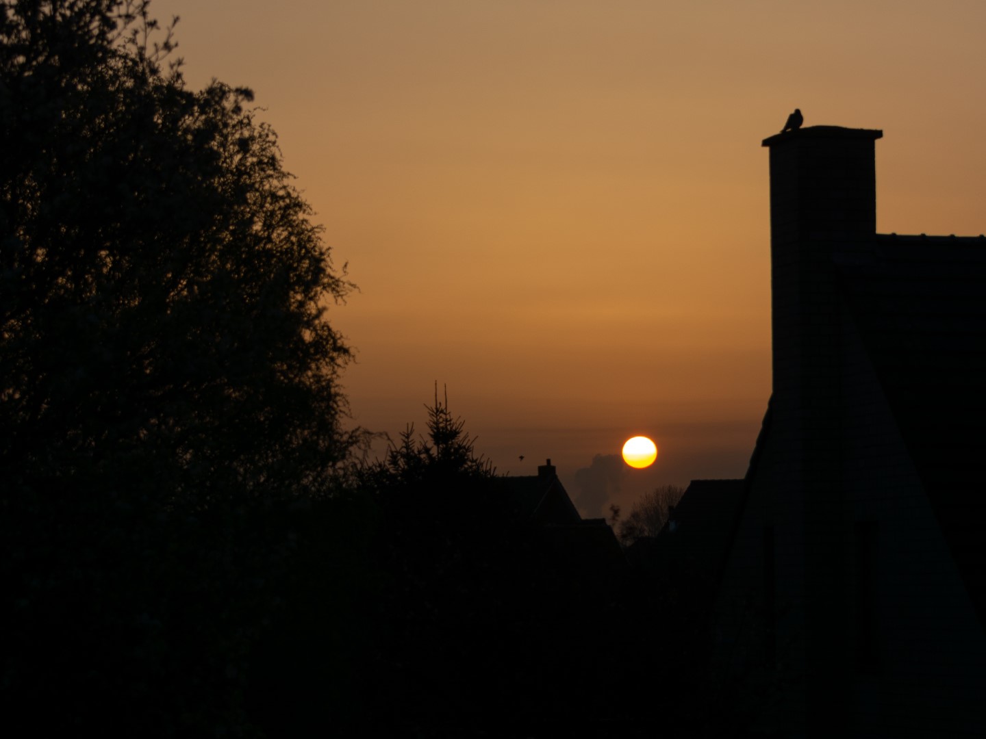 Week in beeld – week 14