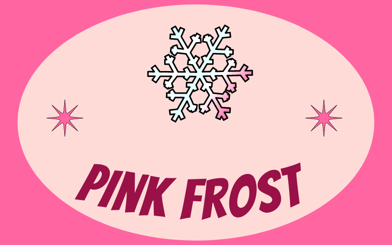 Pink Frost #wedraaiendoor