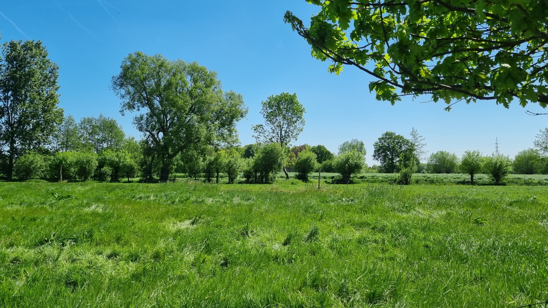 Week in beeld – week 19