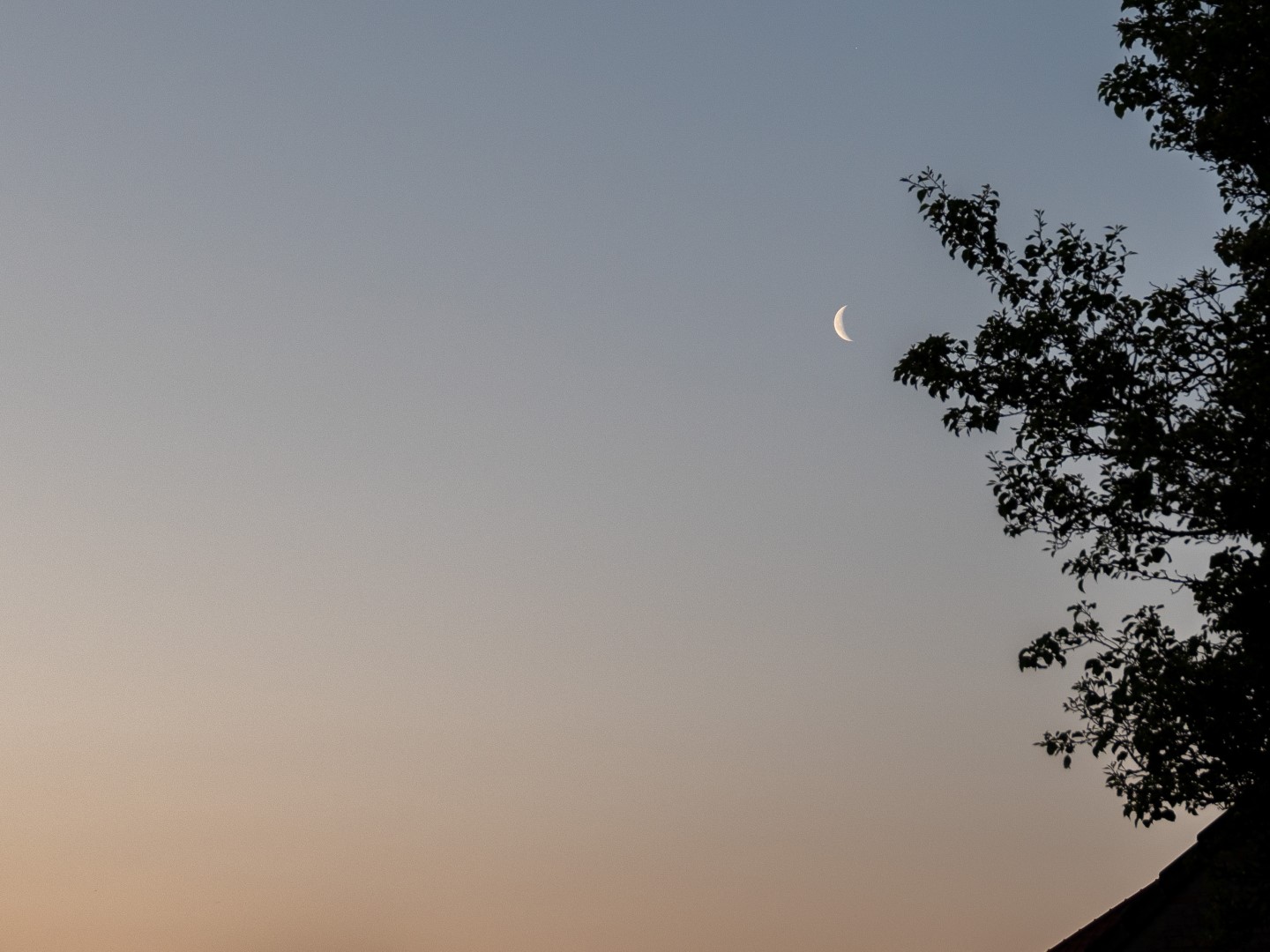 Week in beeld – week 21