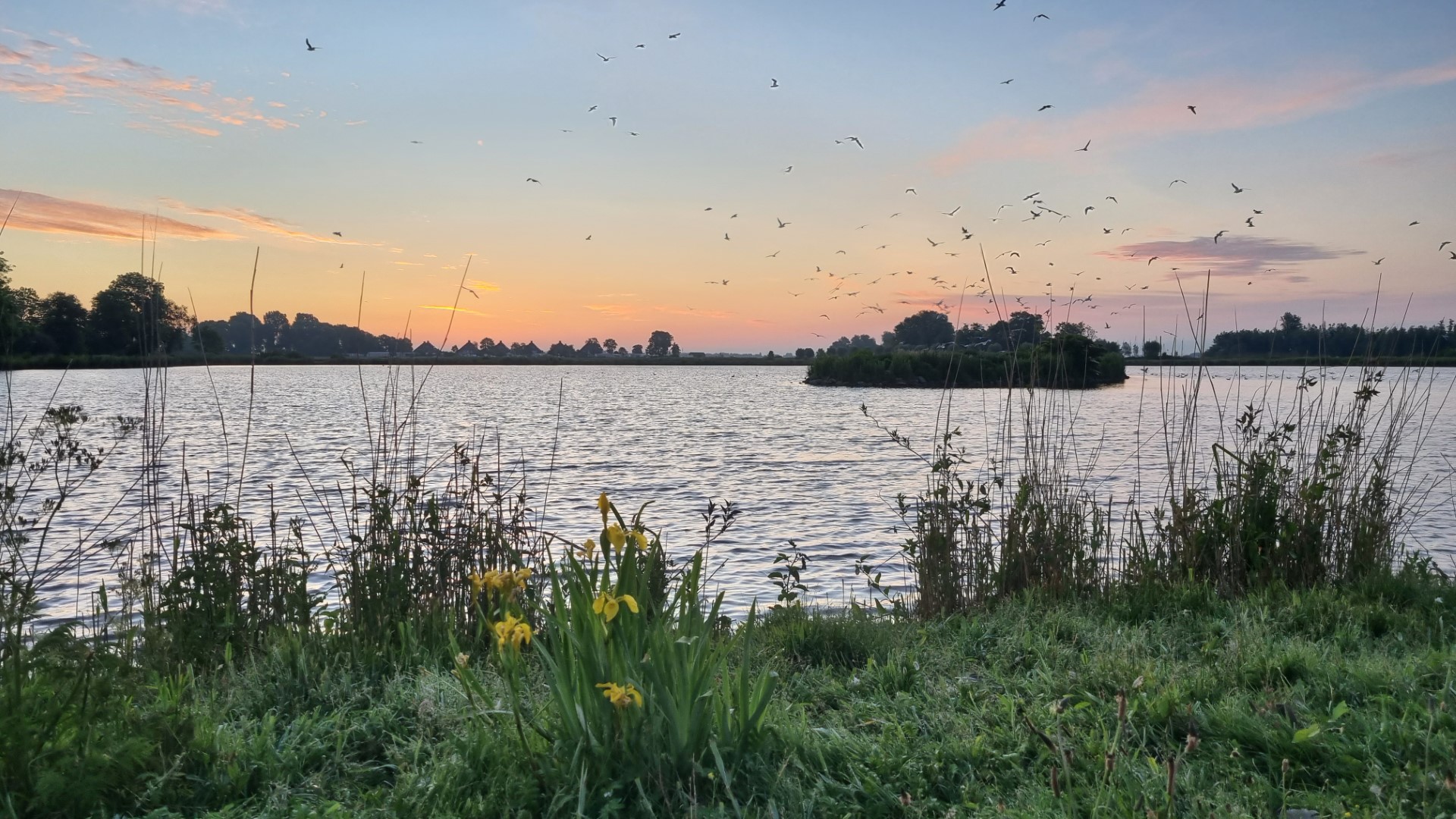 Week in beeld – week 23