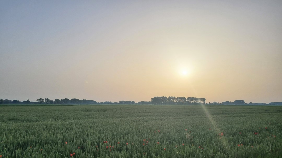 Week in beeld – week 25