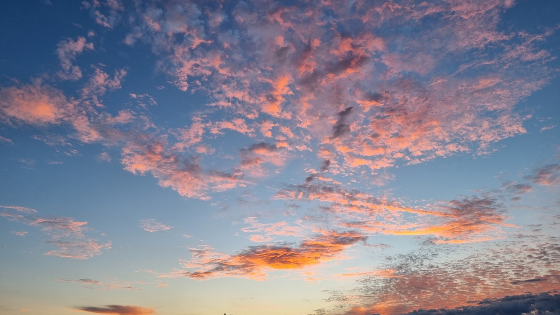 Op reis: Bellem – Dentergem