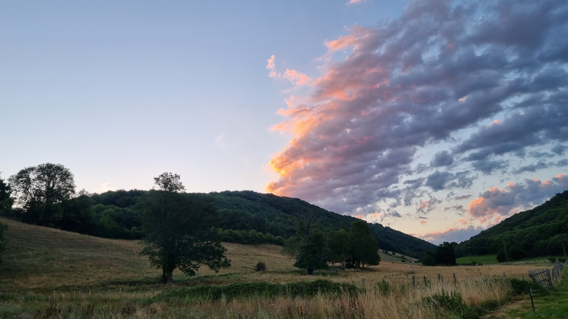 Op reis: hitteprotocol