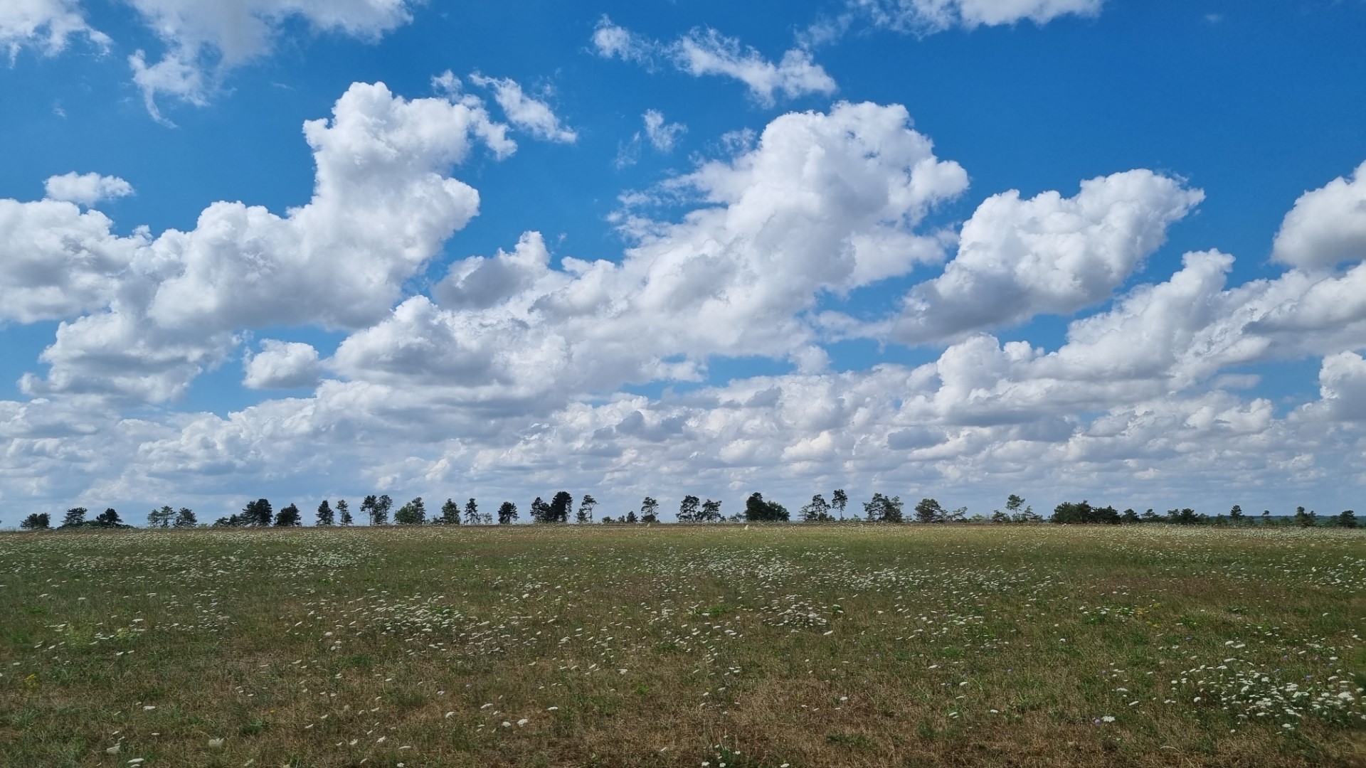 Op reis: plugstreets