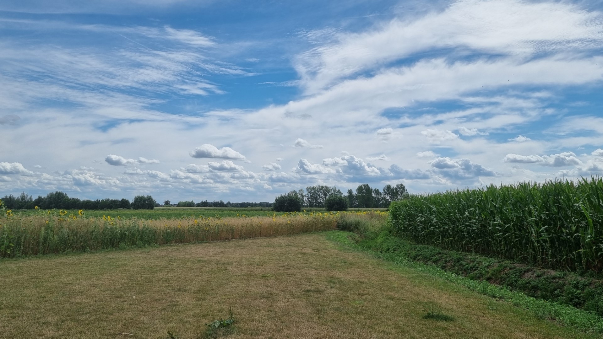 Op reis: Op deze route passeer je een landsgrens