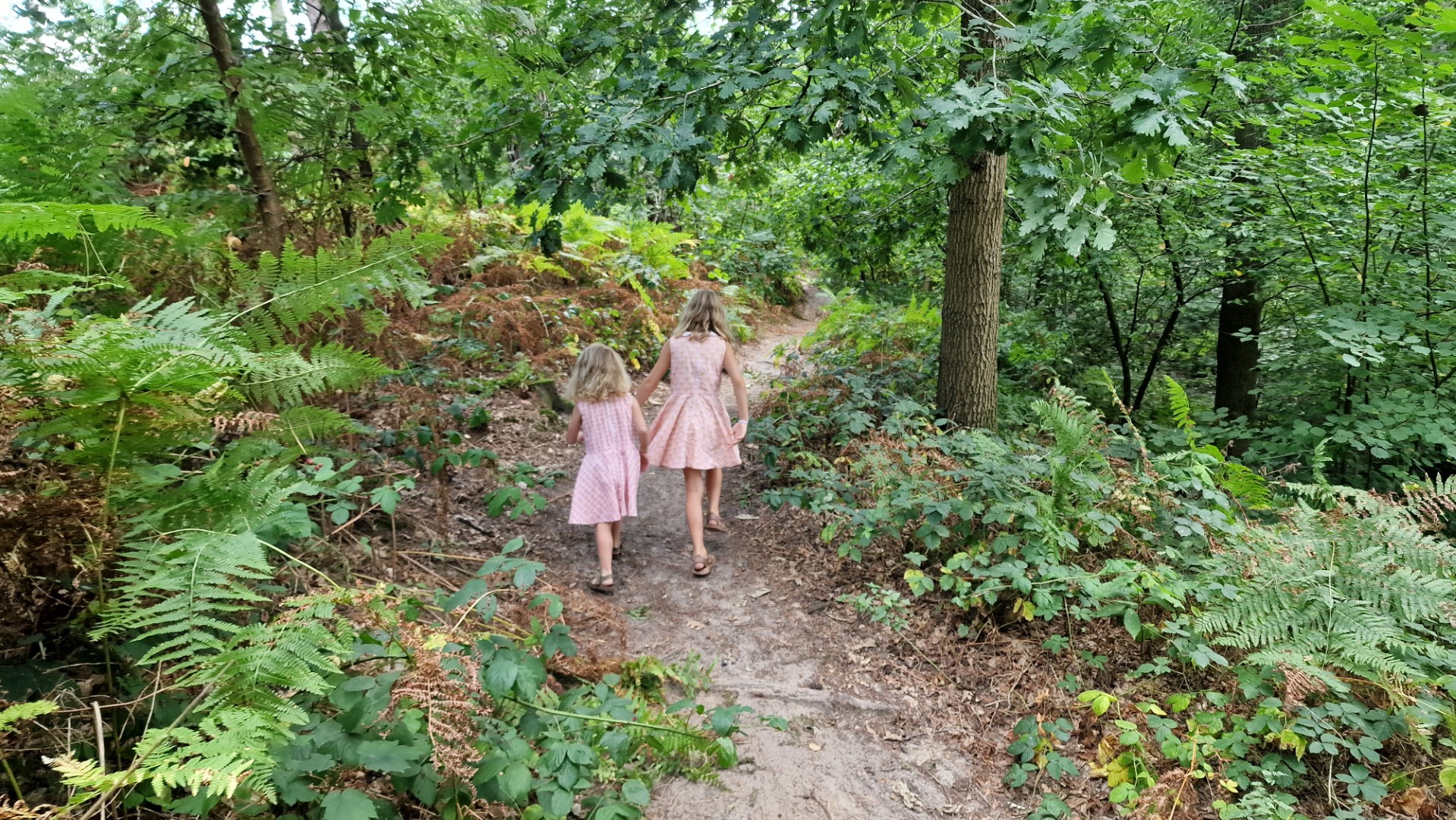 Week in beeld – week 34