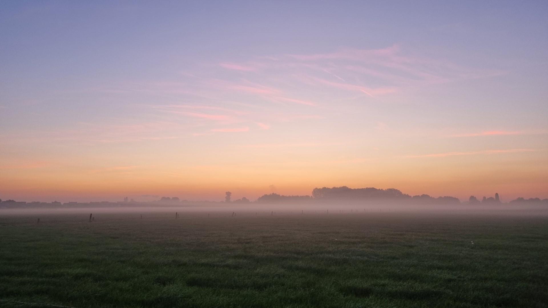 Week in beeld – week 38