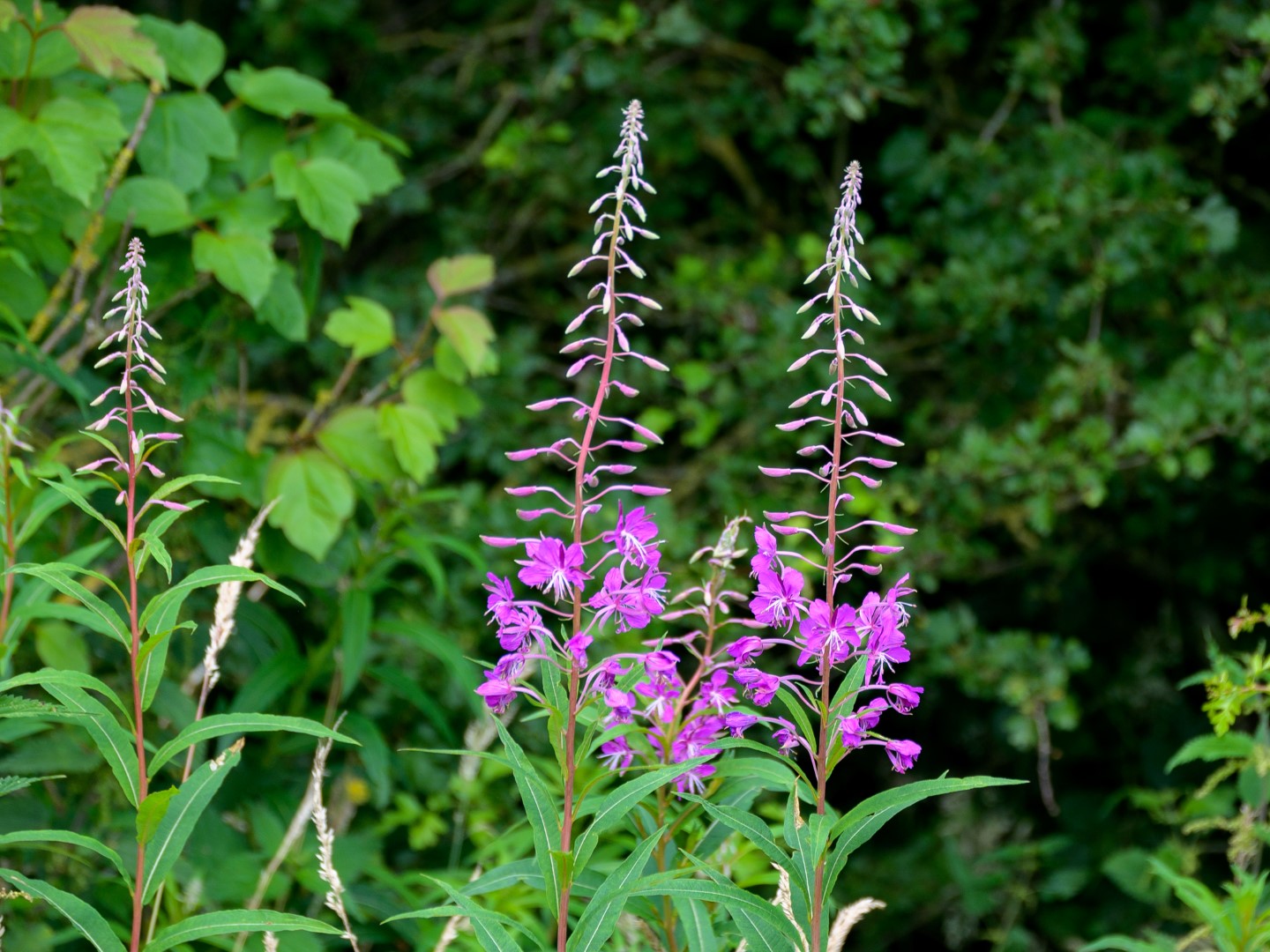 Op reis revisited: vervolg dag 1 & dag 2