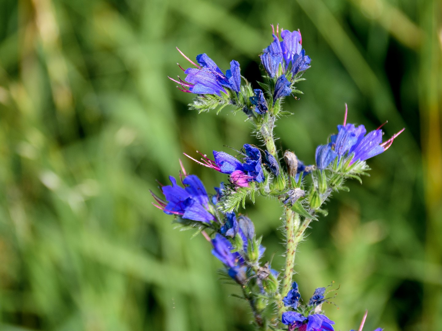 Op reis revisited: dag 5