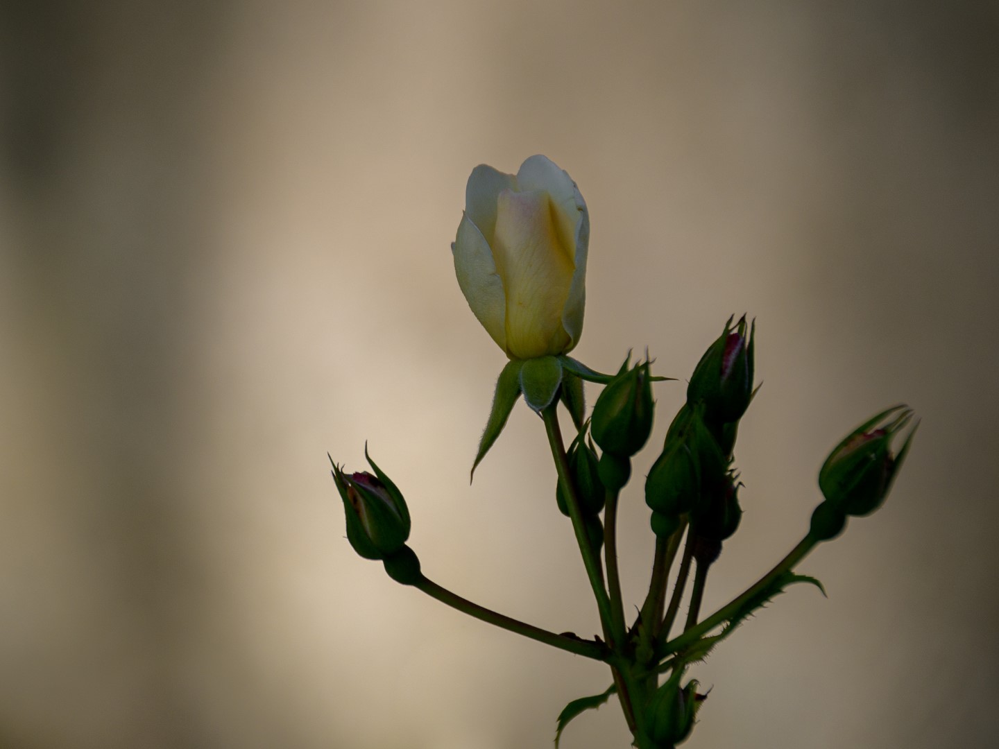 Op reis revisited: dag 6