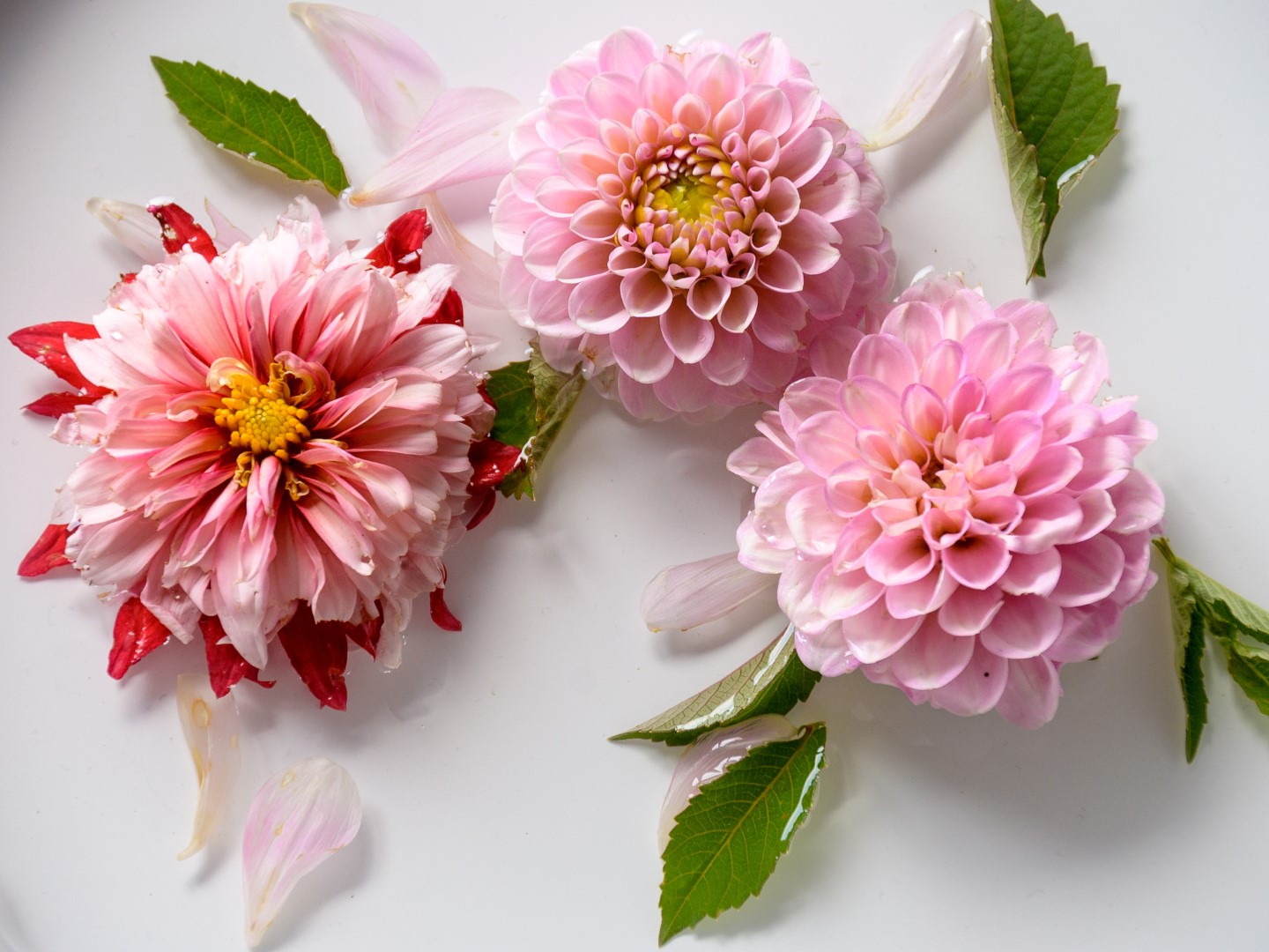 State of Mind: hoe gaat het nu?