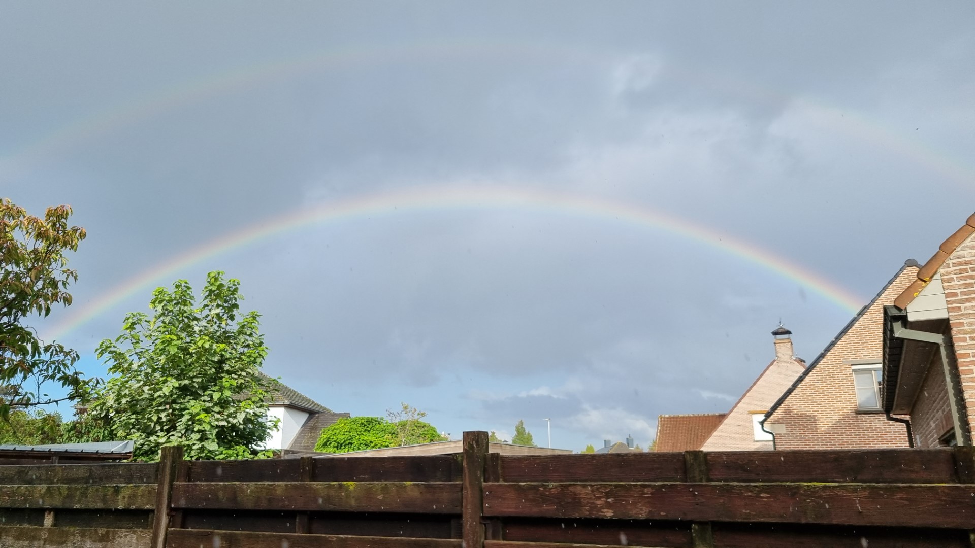 Week in beeld – week 39