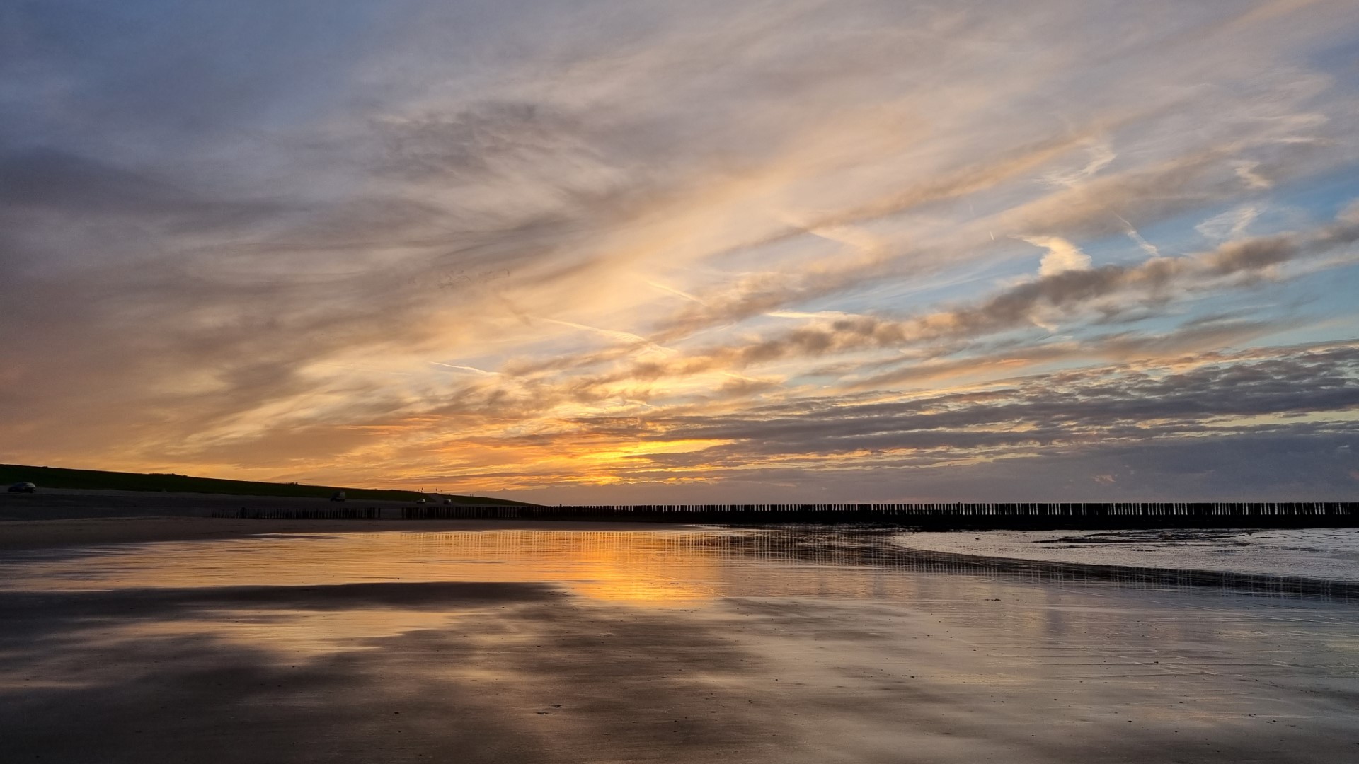 Week in beeld – week 40