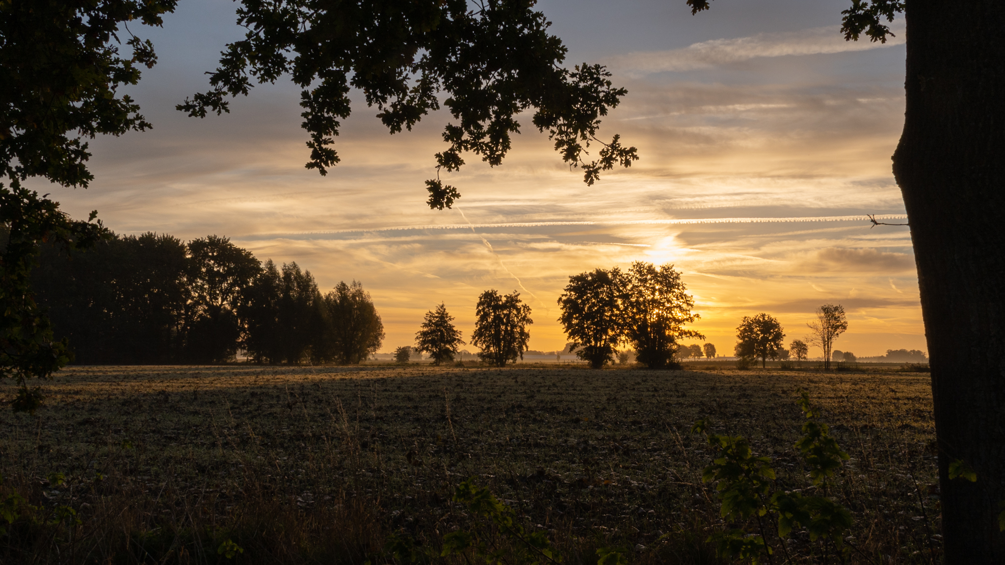 Week in beeld – week 41