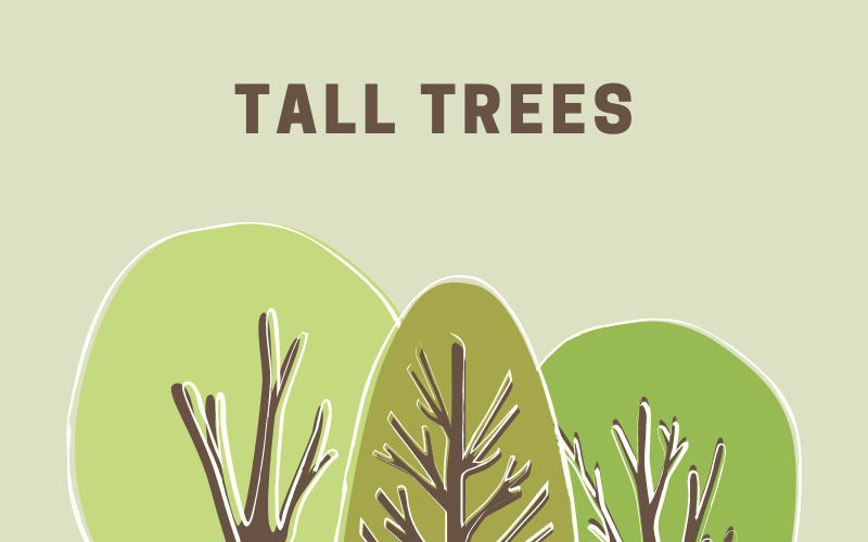 Tall Trees #wedraaiendoor
