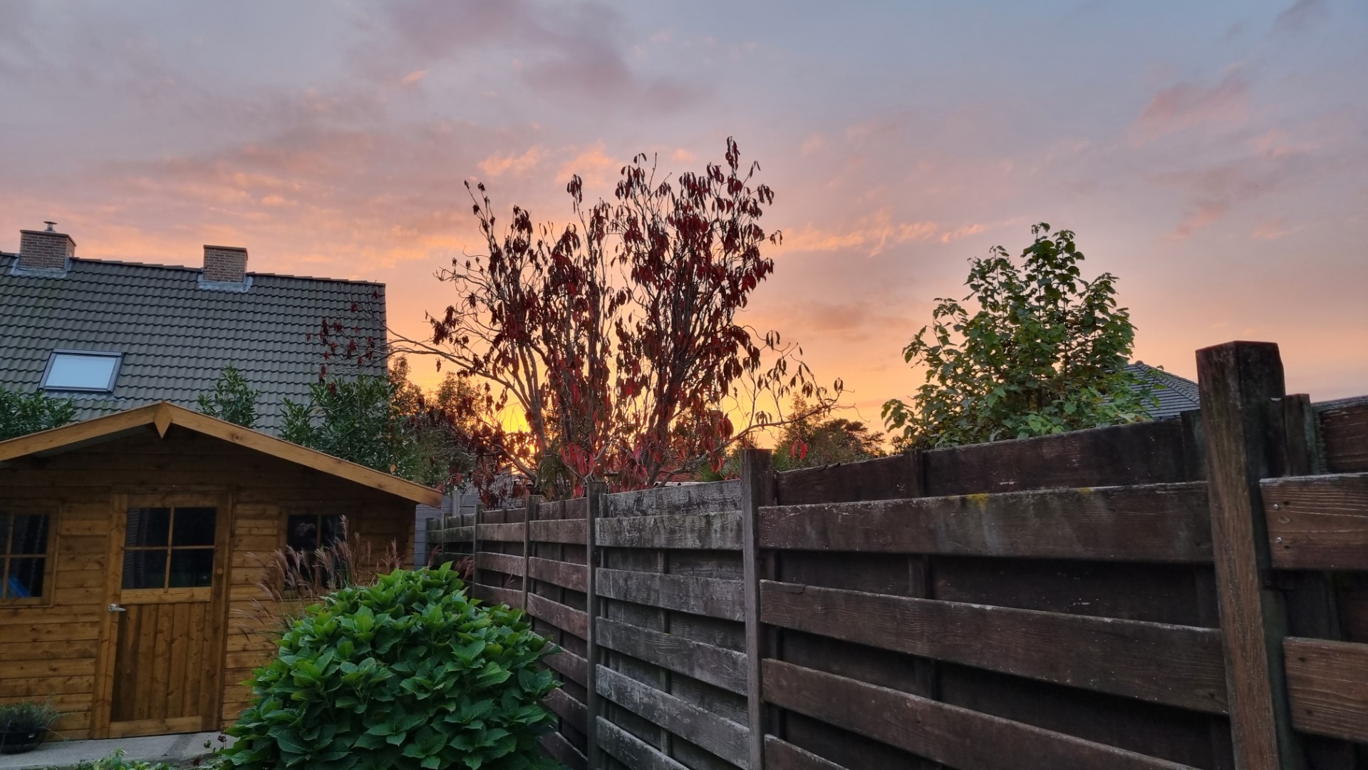 Week in beeld – week 44