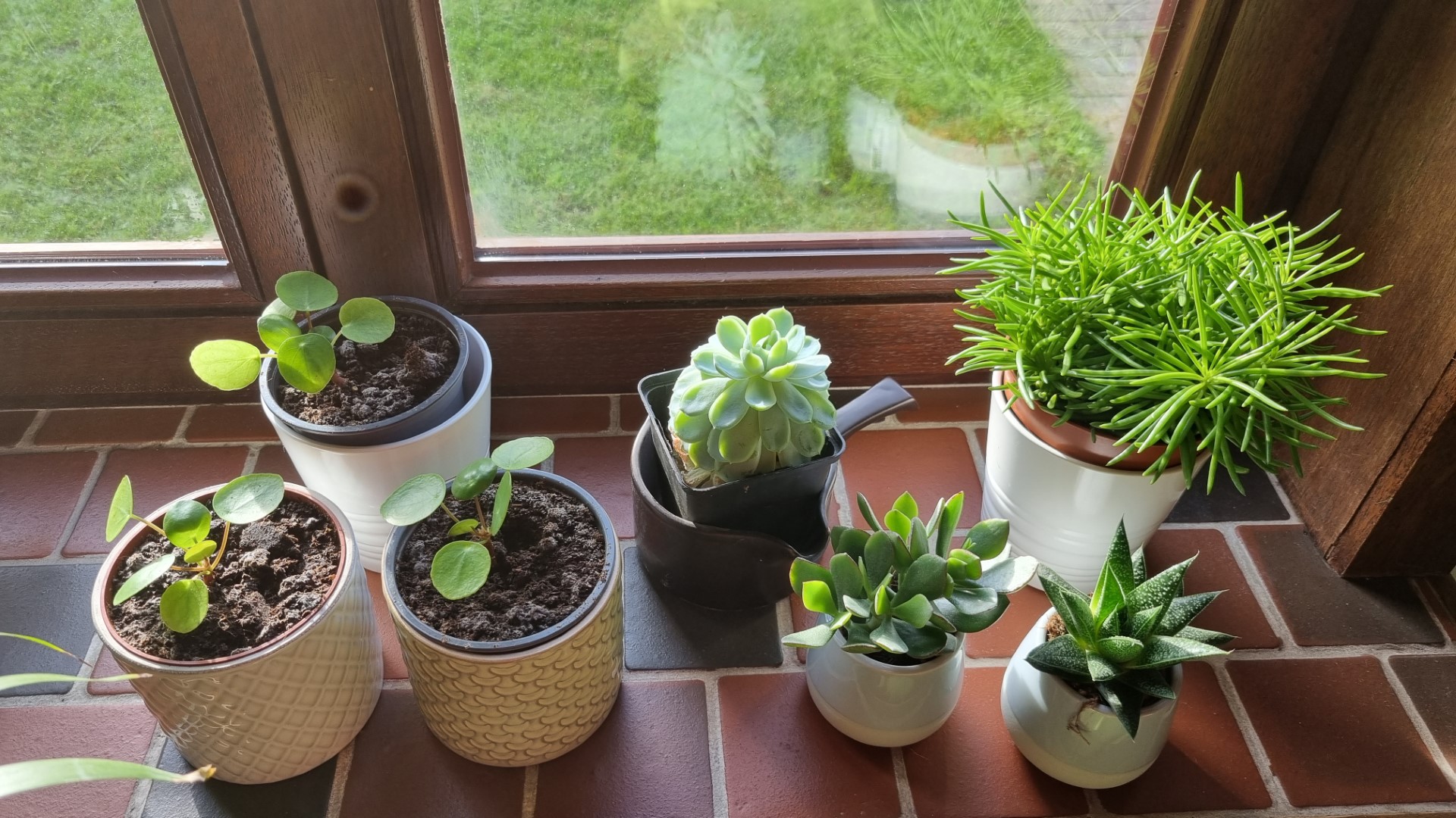 Week in beeld – week 45